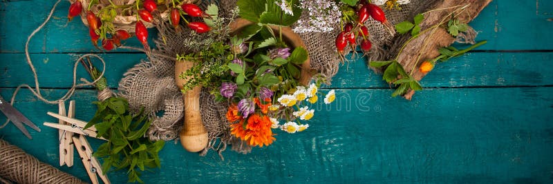 Summer fresh medicinal herbs on the wooden background. Summer fresh medicinal herbs on wooden background stock image