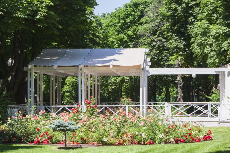 Summer gazebo with flowers in the city park. stock image