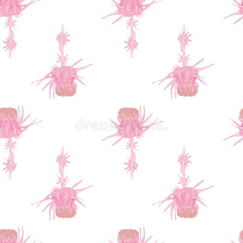 summer spring flowers carduus watercolor seamless pattern vector illustration