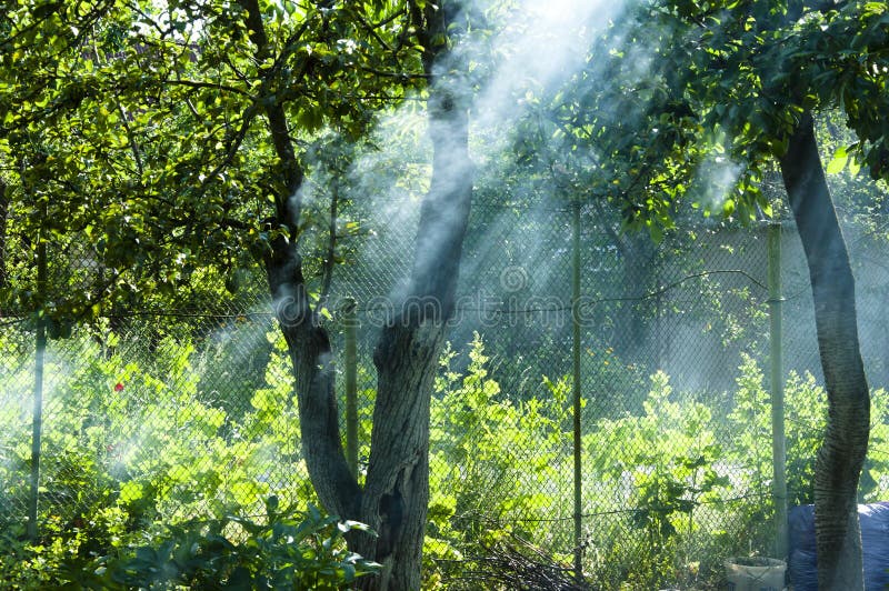 Sun rays in smoke. picnic on vacation and holiday. summer cottage is dacha. Making barbecue in nature near country house. smoke. From fire in garden at fence stock photos