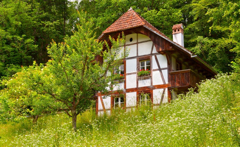 Swiss houses with a garden. Against in summer stock photography
