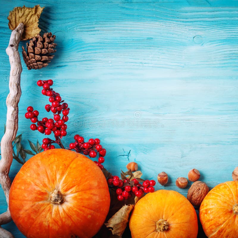 The table, decorated with vegetables and fruits. Harvest Festival,Happy Thanksgiving. royalty free stock photos