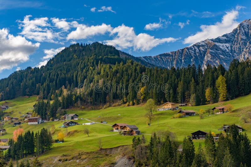 Traditional Swiss style houses on the green hills with forest in the Alps area of Switzerland, Europe. Traditional Swiss style houses on the hills with forest in royalty free stock photo