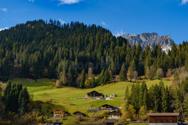 Traditional Swiss style houses on the green hills with forest in the Alps area of Switzerland, Europe. Traditional Swiss style houses on the hills with forest in stock photo