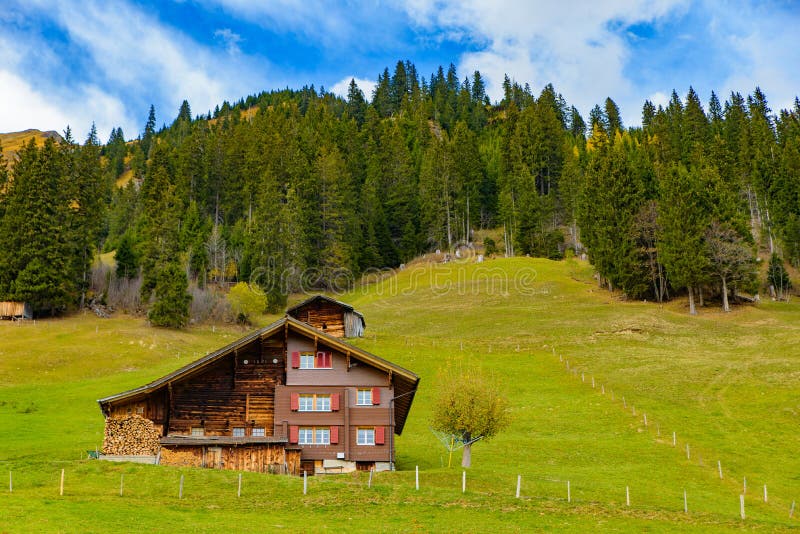 Traditional Swiss style houses on the green hills with forest in the Alps area of Switzerland, Europe. Traditional Swiss style houses on the hills with forest in royalty free stock photography