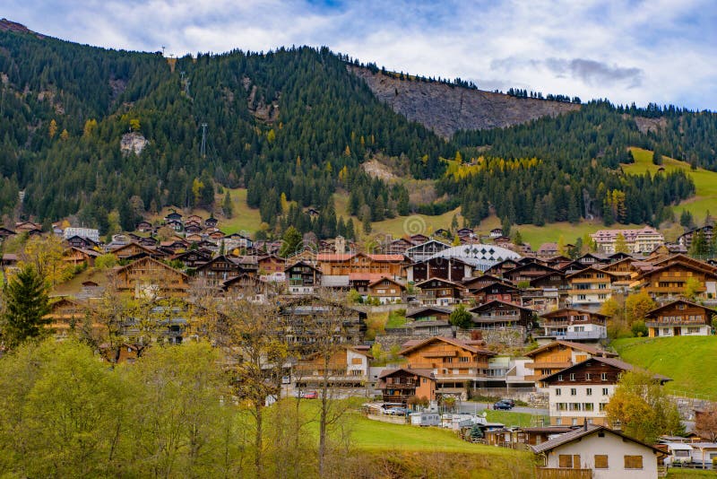 Traditional Swiss style houses on the green hills with forest in the Alps area of Switzerland, Europe. Traditional Swiss style houses on the hills with forest in royalty free stock images