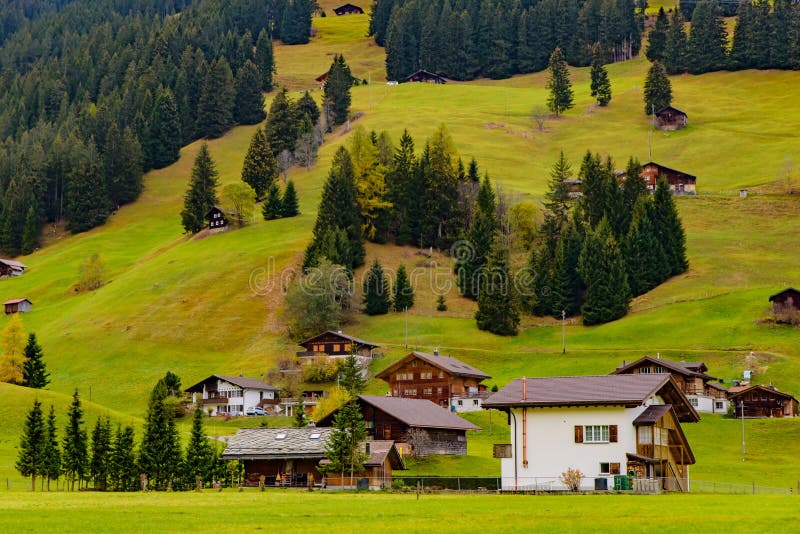 Traditional Swiss style houses on the green hills with forest in the Alps area of Switzerland, Europe. Traditional Swiss style houses on the hills with forest in royalty free stock photos