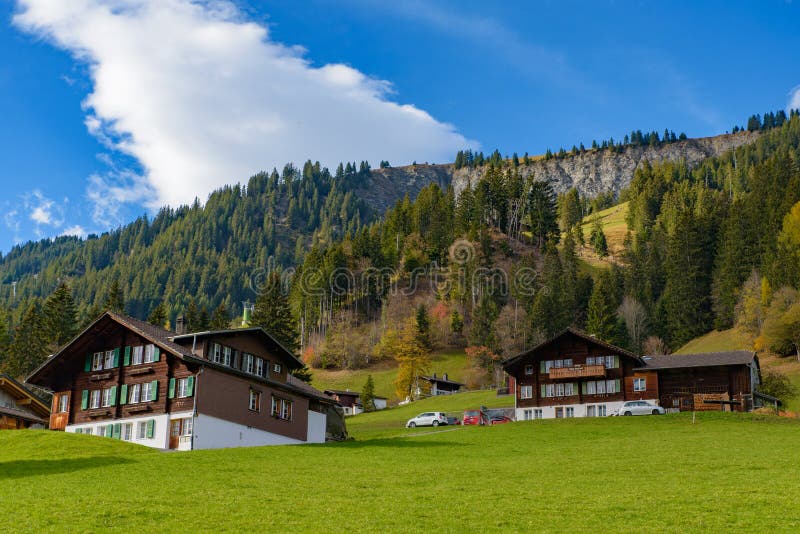 Traditional Swiss style houses on the green hills with forest in the Alps area of Switzerland, Europe. Traditional Swiss style houses on the hills with forest in stock image