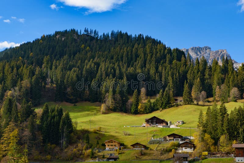 Traditional Swiss style houses on the green hills with forest in the Alps area of Switzerland, Europe. Traditional Swiss style houses on the hills with forest in stock photos