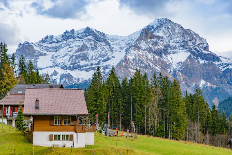 Traditional Swiss style houses on the green hills with forest in the Alps area of Switzerland, Europe. Traditional Swiss style houses on the hills with forest in royalty free stock image
