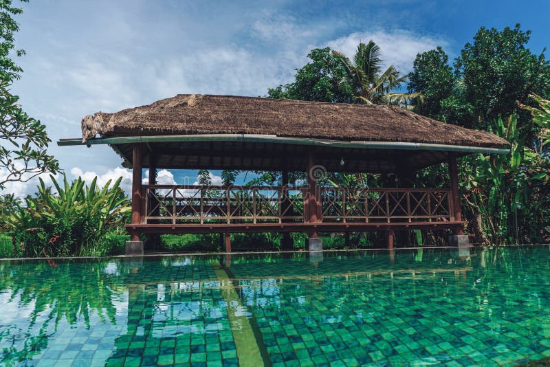 Tropical summer backyard with a large gazebo, pool and palm trees royalty free stock photos