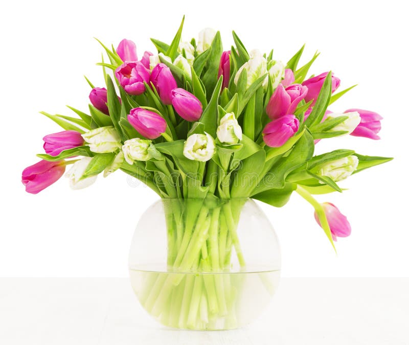 Tulips flowers bouquet in vase, white background. Tulips flowers bouquet in vase over white background stock photography
