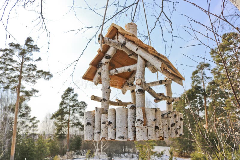 Unusual bird feeder made from birch branches royalty free stock photo