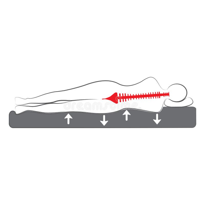 Vector schematic ergonomic bed vector illustration