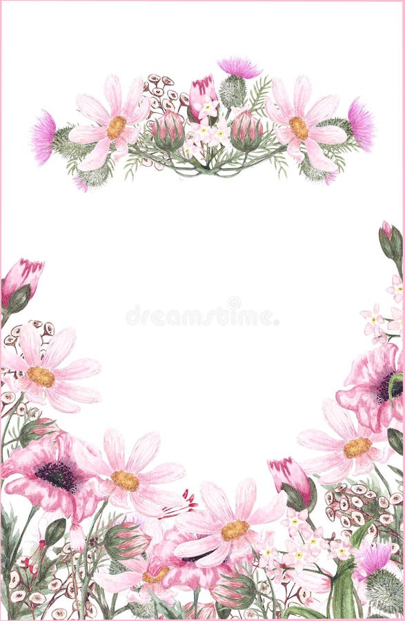 Watercolor frame with meadow flowers: camomile, poppies, thistle, forget-me-not and grass. Design for printing wedding invitations royalty free illustration