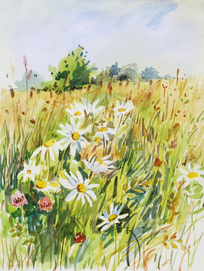 Wild herbs on summer meadow. Summer meadow, summer day, wild herbs. Hand drawn watercolor illustration on stock illustration