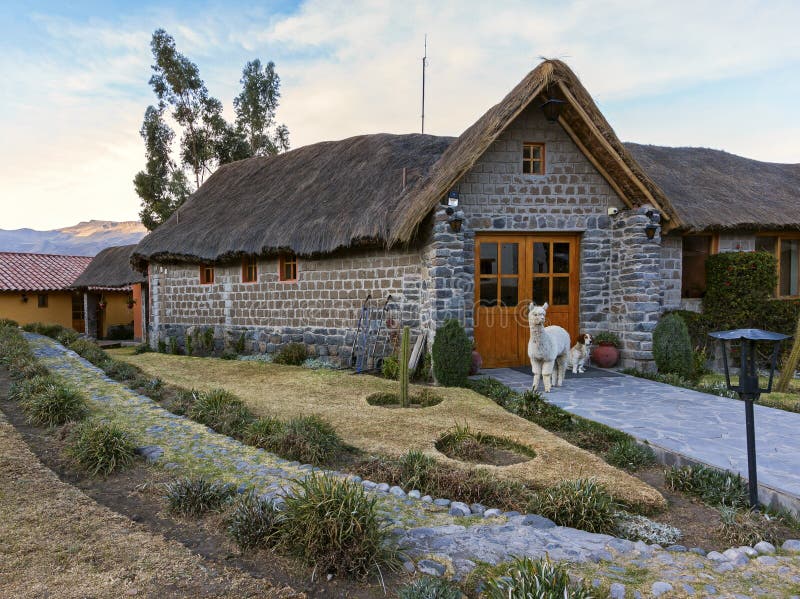Wood cottage with some lama inside. Green meadow is outside the house. Peru royalty free stock photos