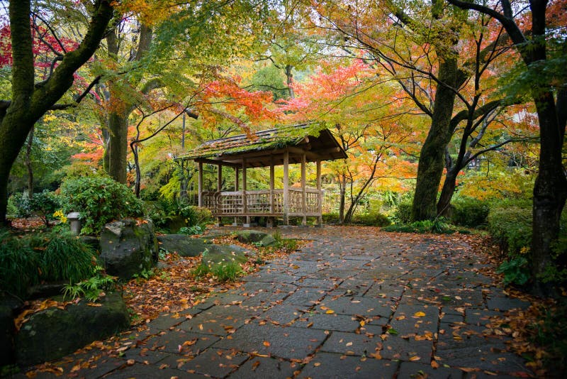 A wooden cottage inside Gifu park in autumn, Gifu, Japan. View of a wooden cottage inside Gifu park in autumn, Gifu, Japan stock photo