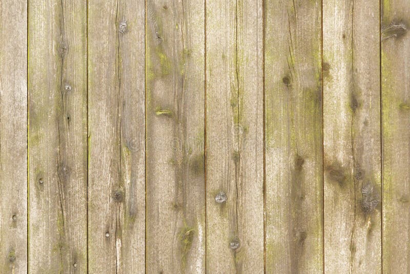 Wooden front texture stock photo