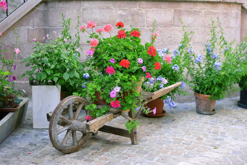 Wooden pallet with fresh flowers royalty free stock photography