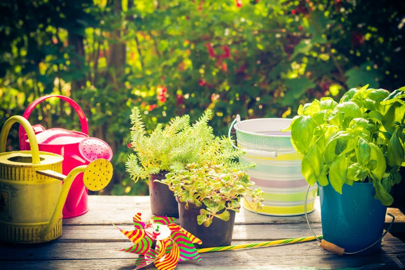 Work garden herbs flowers summer. Work in the garden: herbs and flowers in summer stock photos