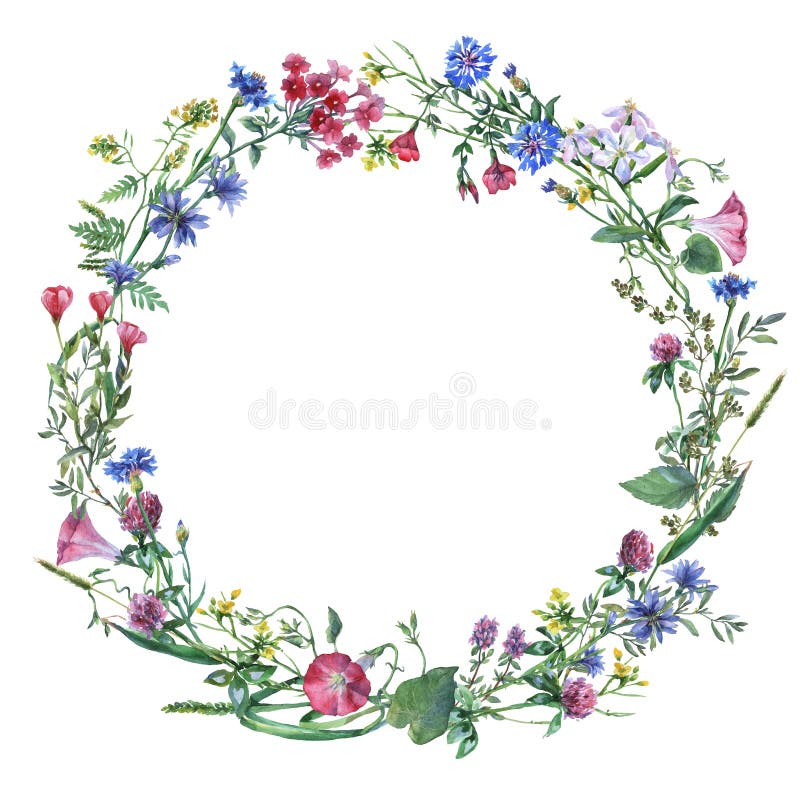 Wreath border frame with summer herbs, meadow flowers. Watercolor hand painting illustration on isolate white background stock illustration