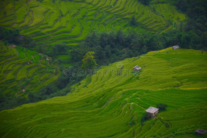 Yuanyang Terraces. And country houses royalty free stock image