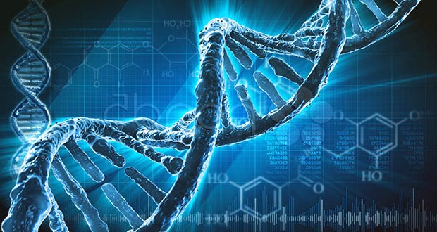 Технология изменения ДНК человека