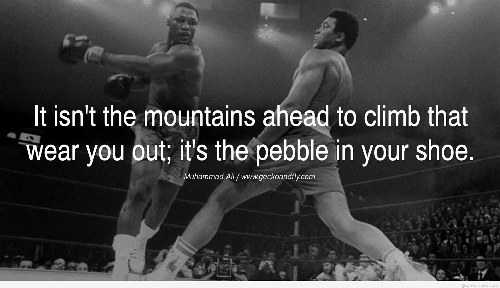 Muhammad-Ali-quote 115 Best Motivational Wallpaper Examples with Inspiring Quotes