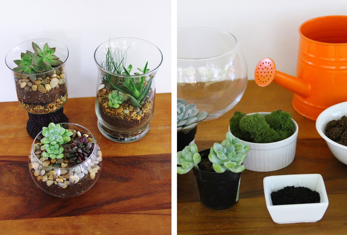 diy room decor succulent terrarium500