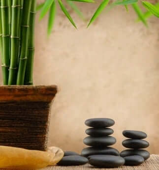 To create a good quality of air for your Feng Shui office, you can include many Feng Shui plants