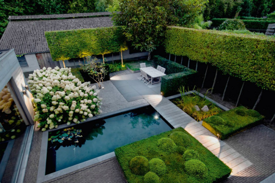 Modern outdoor garden
