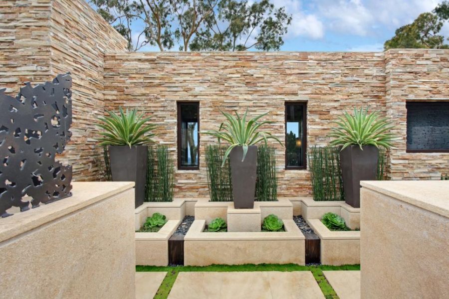 Modern waterless garden