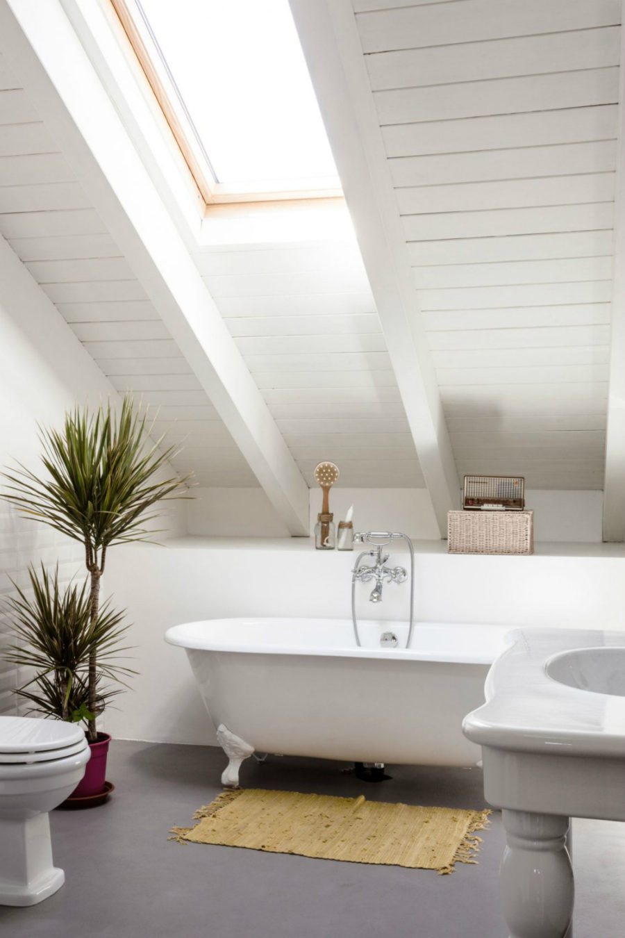 Bathroom with a skylight