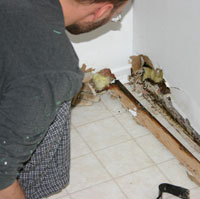 Professional Assessing Mold